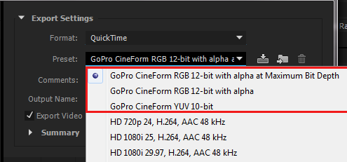 Media Encoder GoPro CineForm presets