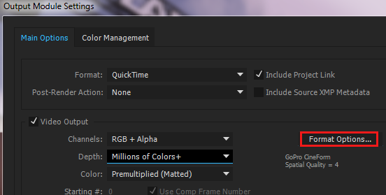 Format Options in Output Module settings