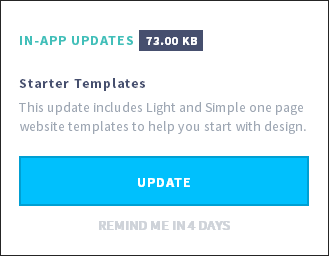 Update option during manual update
