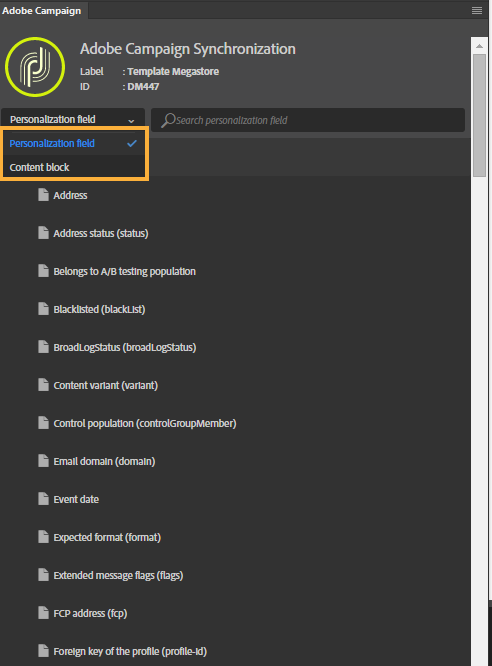 The blocks in the Adobe Campaign extension panel