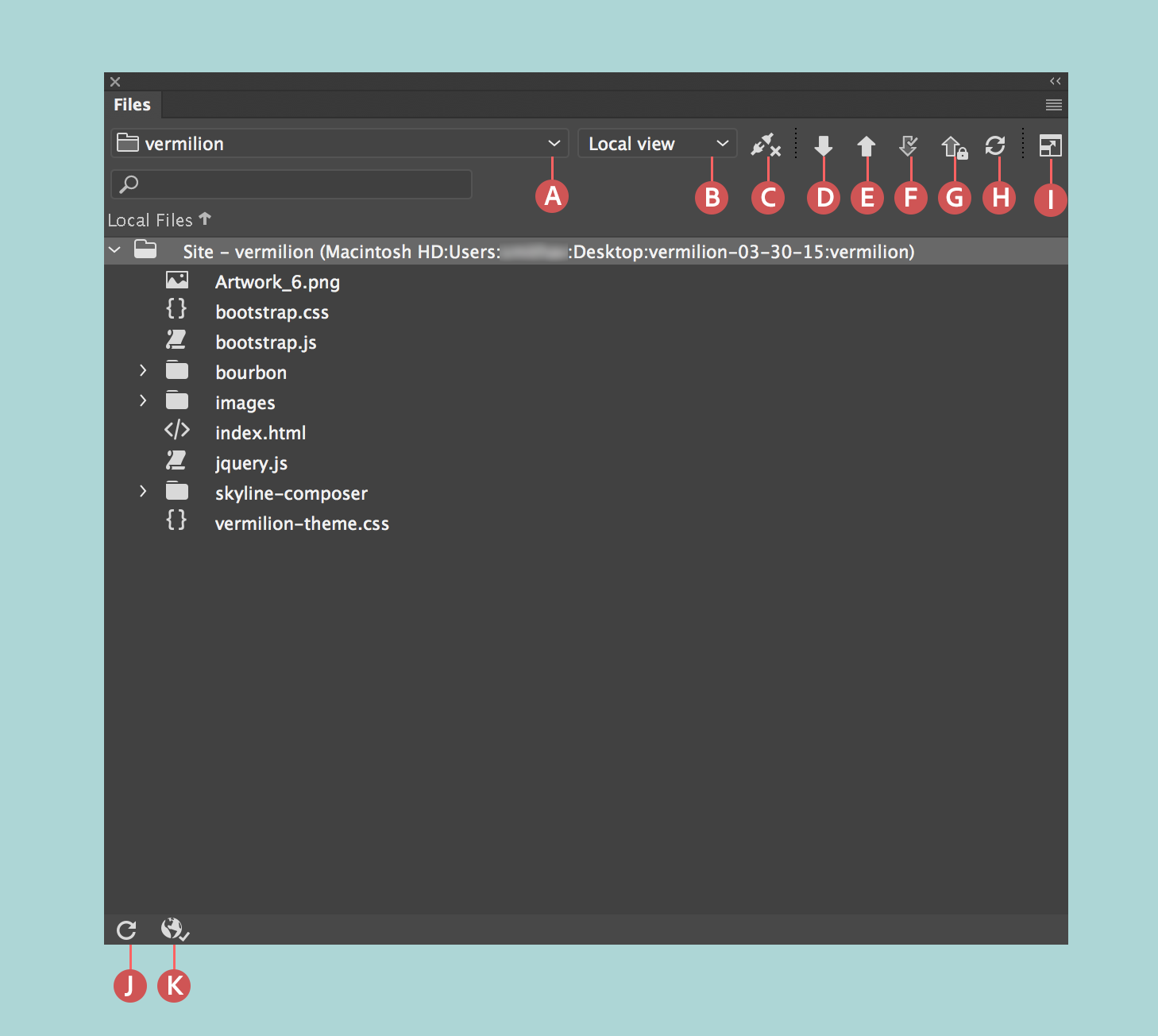 The Files panel when a site, connections to remote servers, and check-in and check-out is enabled