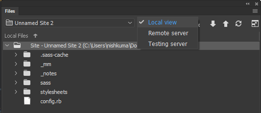 Viewing files on local site root, remote, and testing servers