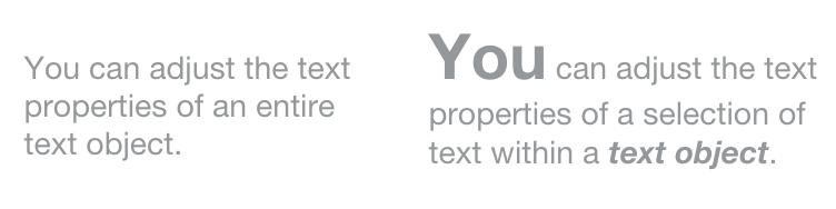 Format the entire text object or individual sections of text Format the entire text object or individual sections of text