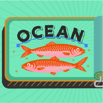 card cover