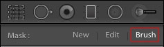 Using Brush controls Brush controls in Lightroom Classic CC