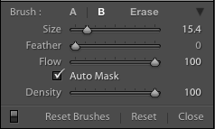 Filter brush settings Brush settings in Lightroom Classic CC