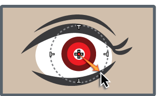 Draw a circle over effected eye Lightroom Classic CC Draw a circle over effected eye