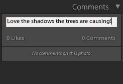 Escriba una sugerencia o añada un comentario en la sección de comentarios. Escriba una sugerencia o añada un comentario en la sección de comentarios de Lightroom Classic CC.
