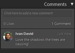 Una fotografía con comentarios de un usuario Una fotografía con comentarios de un usuario en Lightroom Classic CC