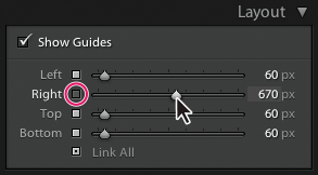 Anule la selección en el cuadro pequeño junto al margen de la diapositiva para excluirlo de un ajuste en grupo. Establecimiento de los márgenes de la diapositiva en Lightroom Classic CC