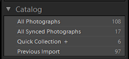 All Synced Photographs collection in the Catalog panel All Synced Photographs collection in the Catalog panel