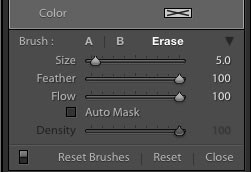 Settings for a filter brush Lightroom filter brush settings