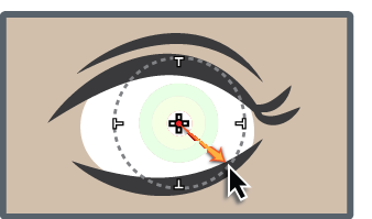 Cure pet eye effect in photos Lightroom pet eye correction