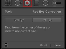 The Red Eye Correction tool icon Lightroom red eye correction