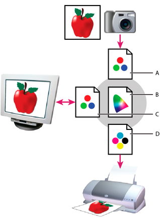 Document profiles Photoshop Document profiles