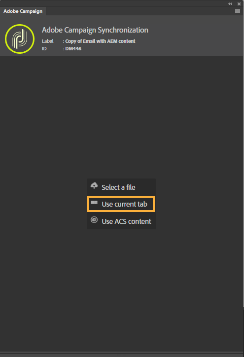 Panneau d’extension Adobe Campaign avant ouverture de la campagne