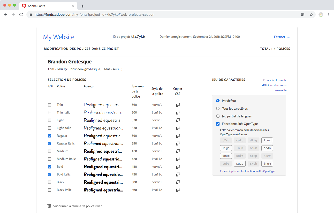 Informations CSS dans l’éditeur de projets web