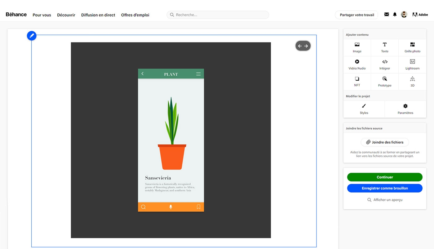 Cliquez sur Continuer pour publier le projet