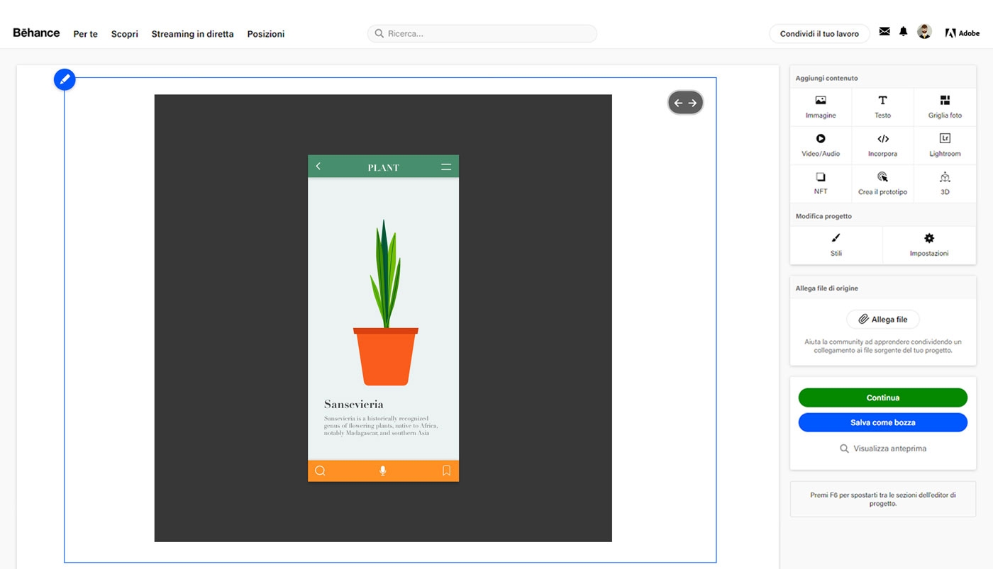 Fai clic su Continua per pubblicare il progetto