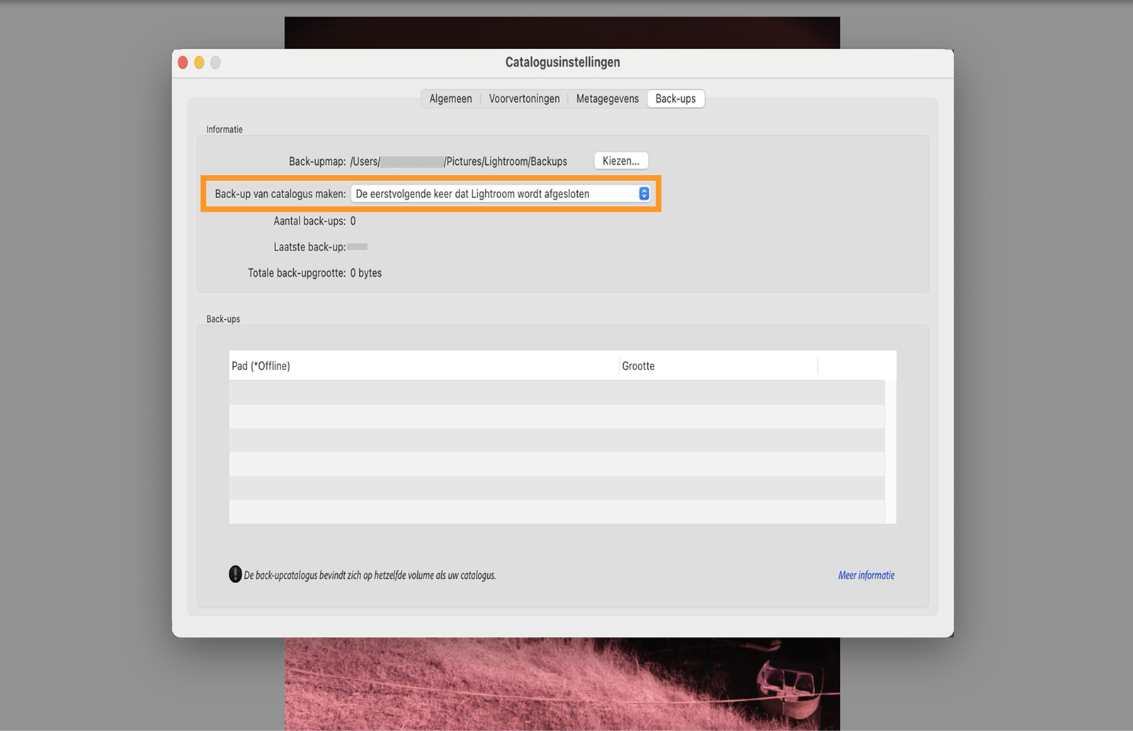 Een back-up van de catalogus maken wanneer Lightroom de eerstvolgende keer wordt afgesloten